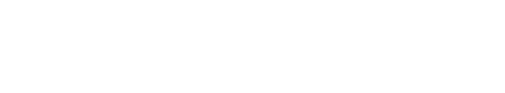 Light Brand Logo Large